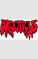 MURDER FALCON BROOTICUS PIN