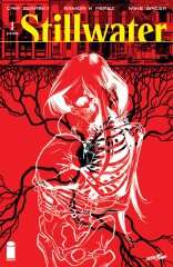 Stillwater by Zdarsky & Pérez #1