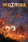 Wildfire 02 B