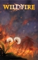 Wildfire 02 B