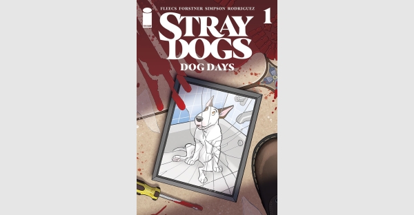 A NEW LITTER OF STRAY DOGS ARRIVES THIS DECEMBER IN UPCOMING DOG DAYS